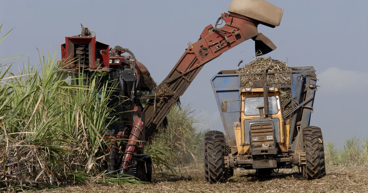 México evalúa usar etanol en gasolinas para ahorrar hasta 30,000 mdp

La mezcla con etanol permitiría bajar costos en combustibles, reducir la dependencia de insumos importados y amortiguar el impacto de la volatilidad petrolera.