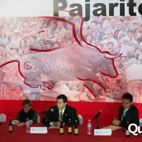 presentacion libro Pajarito