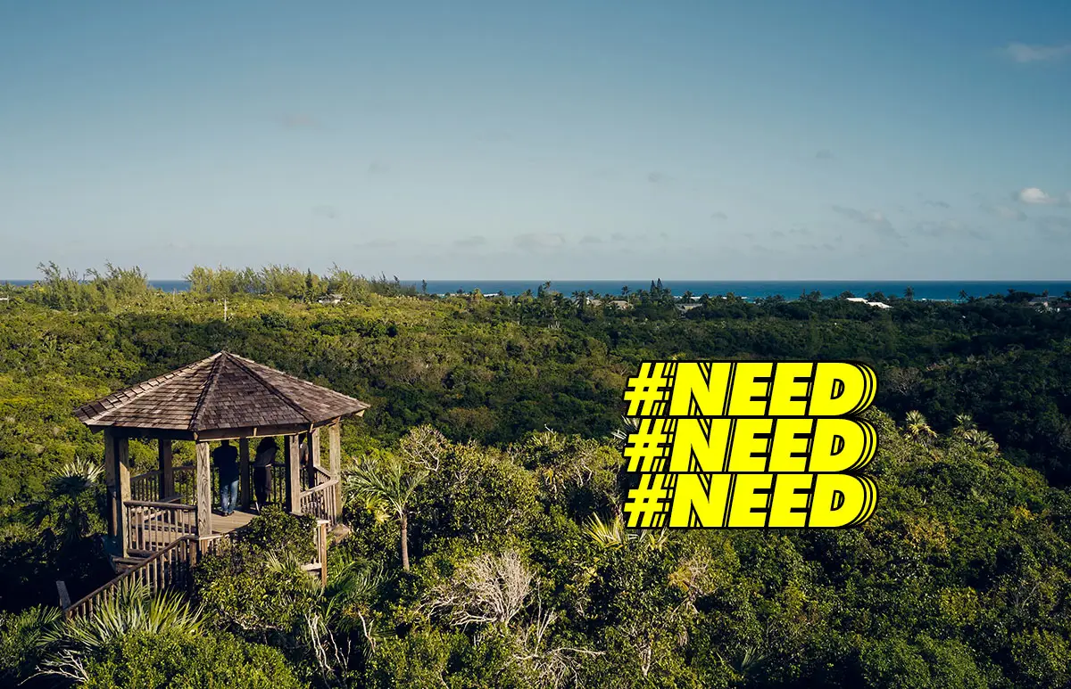 bahamas-airbnb-sabatico-concurso