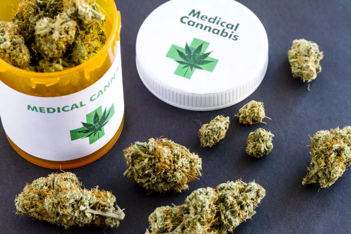 La cannabis medicinal es una industria naciente en México. (iStock).
