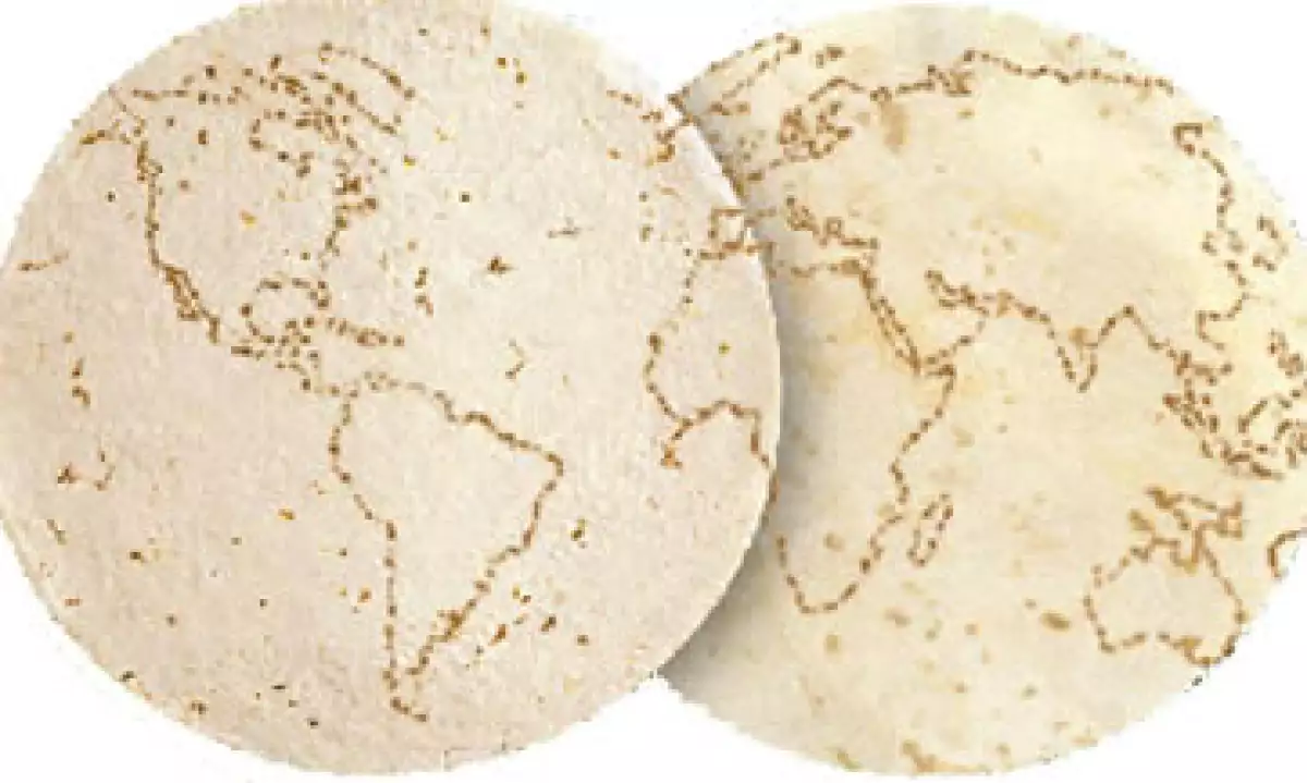 Roberto González Barrera, fundador del más grande productor de harina de maíz y tortilla, murió este sábado a los 82 años de edad. (Foto: Tomada del sitio web de Gruma)