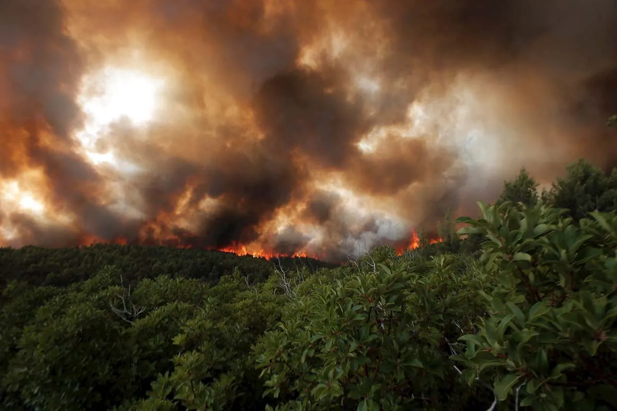 fuego grecia atenas tatoi