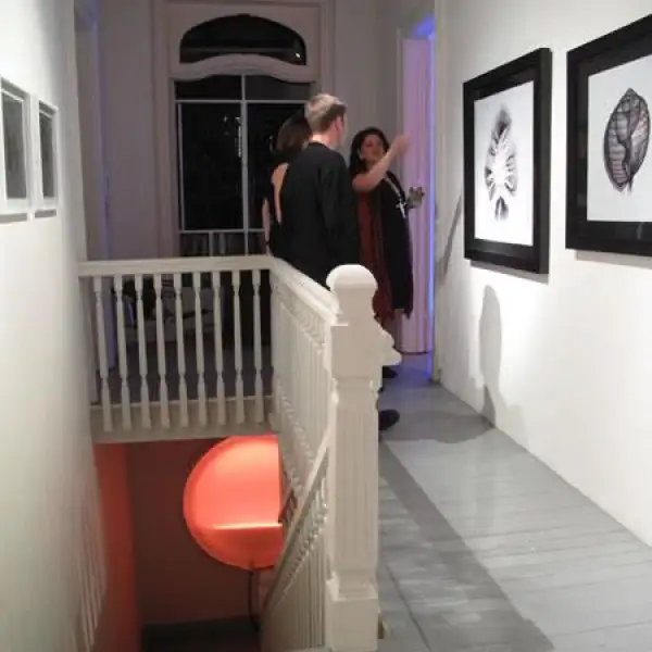 Galería Alejandra Frausto y TOCA