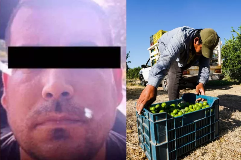 el pantano-michoacan.jpg