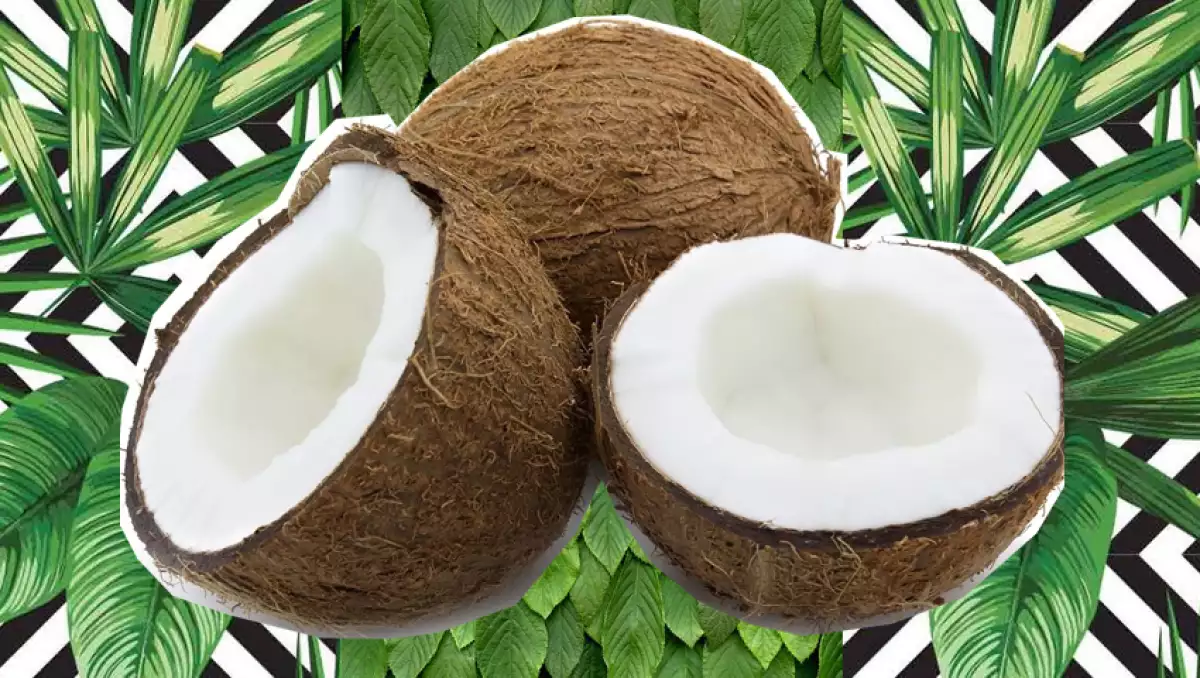 ¿Sabes por qué nos encanta el aceite de coco?