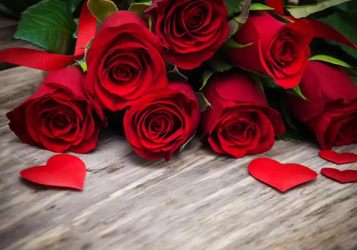 rosas-san valentin