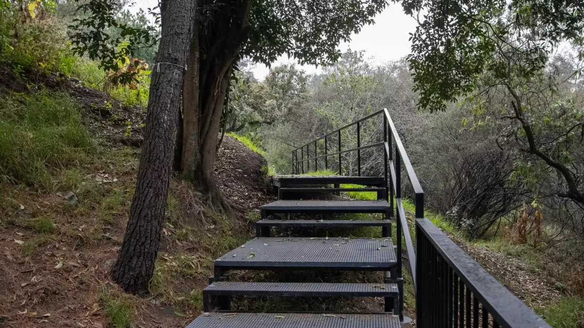 rutas para caminar en la ruta Serpientes y Escaleras del Bosque de Chapultepec III Sección