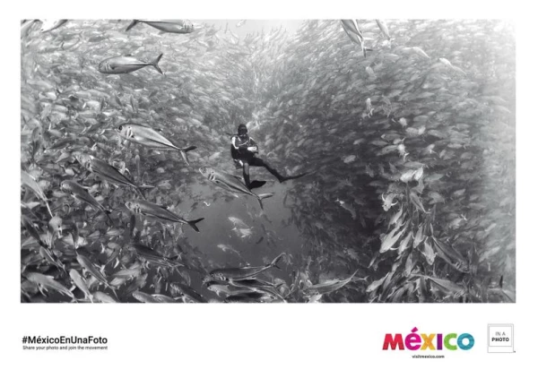 'Visit Baja California Sur'.