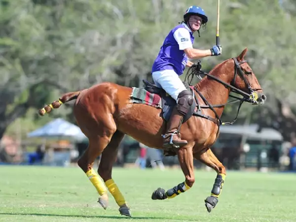 Seis equipos se disputarán el torneo de este año, entre ellos el de Giorgio Brignone.