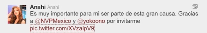 Anahí se dijo muy honrrada de haber sido elegida para participar en esta fundación.