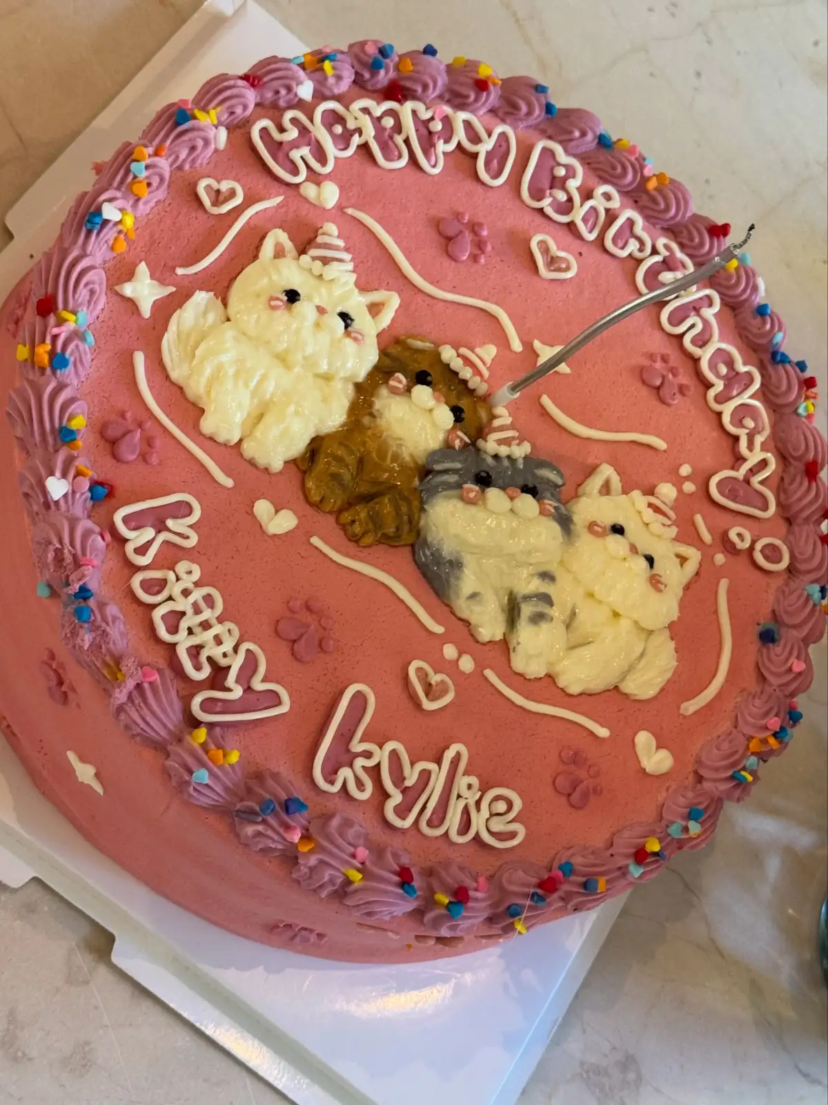KYLIE-BDAY-CAKE-2.jpg