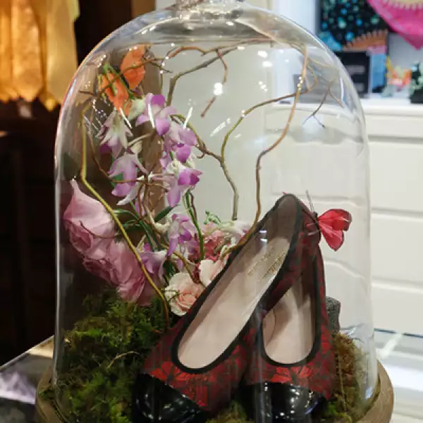 Colección Pretty ballerinas