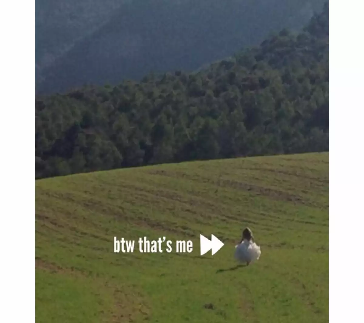 Ayer publicó esta imagen, en la que indicó bromista que la persona de la foto que apenas se aprecia es ella.