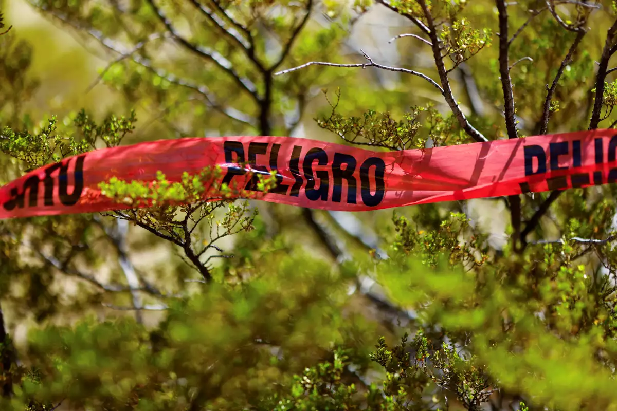 Violencia en México