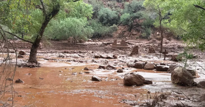 Un árbol, lodo y rocas por inundaciones en el Gran Cañón en Arizona.jpg