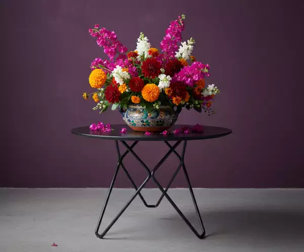 Arauco Cubierta .png