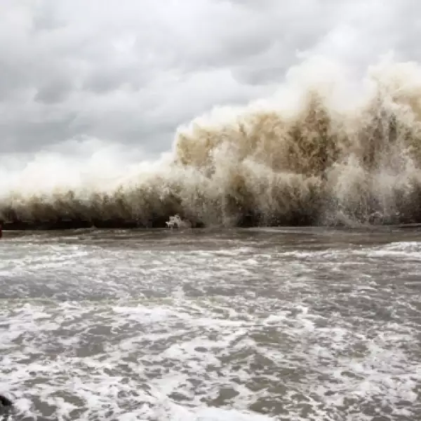 China tifón Usagi 9