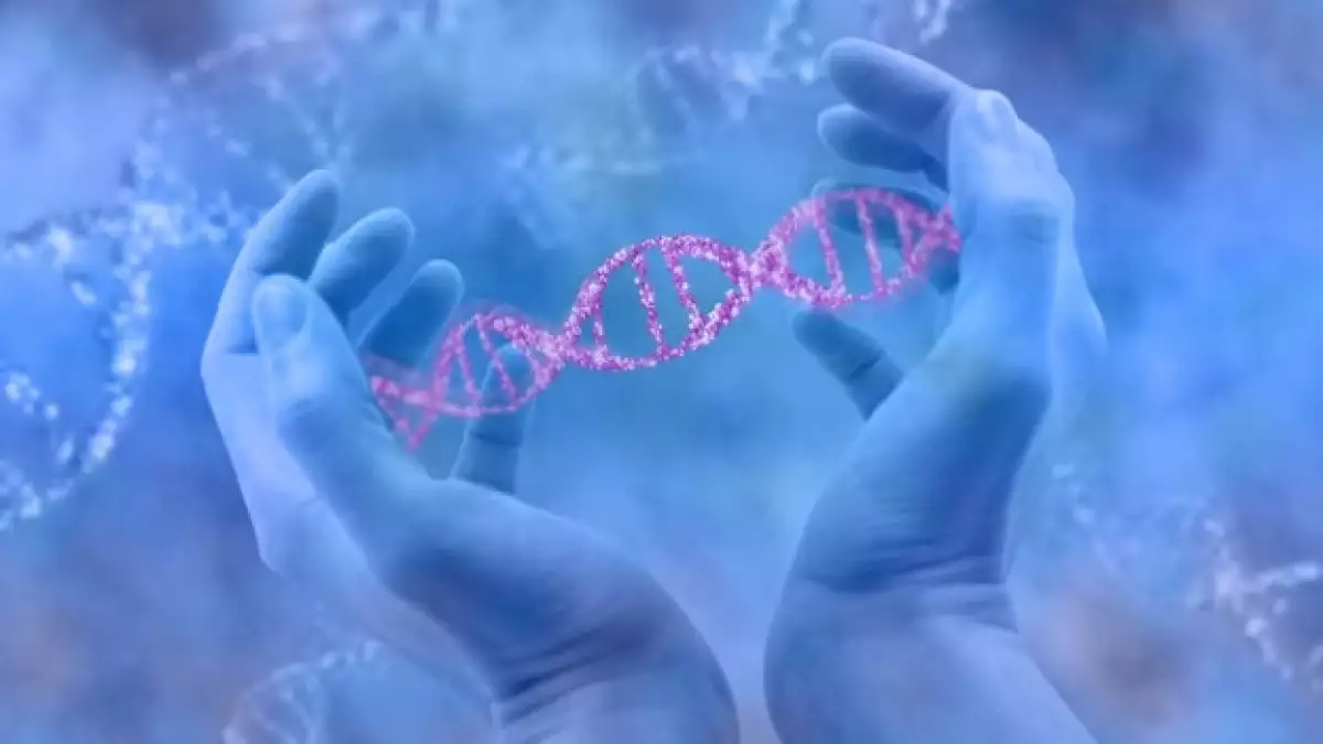 genetica_adn