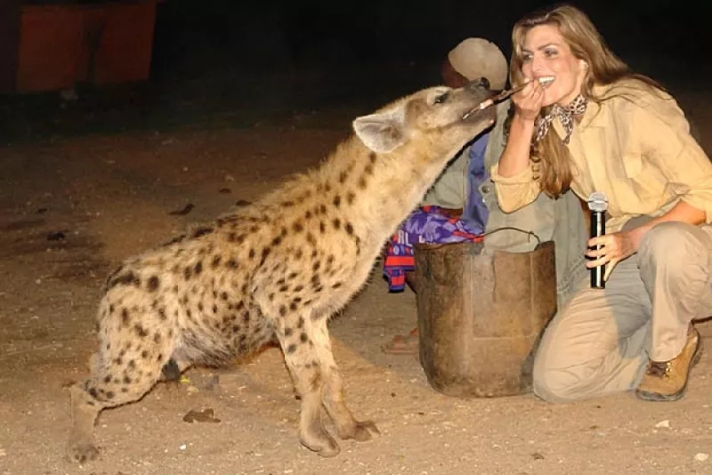 En compañía de Yusuf, la conductora de `La jugada del mundial´ dio de comer carroña y basura a estos animales que se acercan a la ciudad al anochecer. Antes había comido hormigas voladoras.
