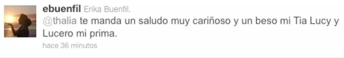 Algunos famosos aprovecharon sus cuentas de Twitter para manifestar su solidaridad con la actriz y cantante mexicana.
