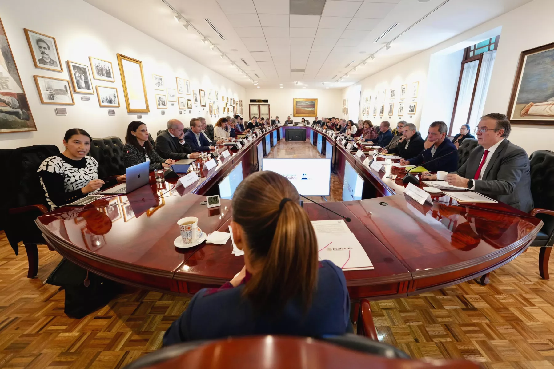 sheinbaun economistas palacio nacional