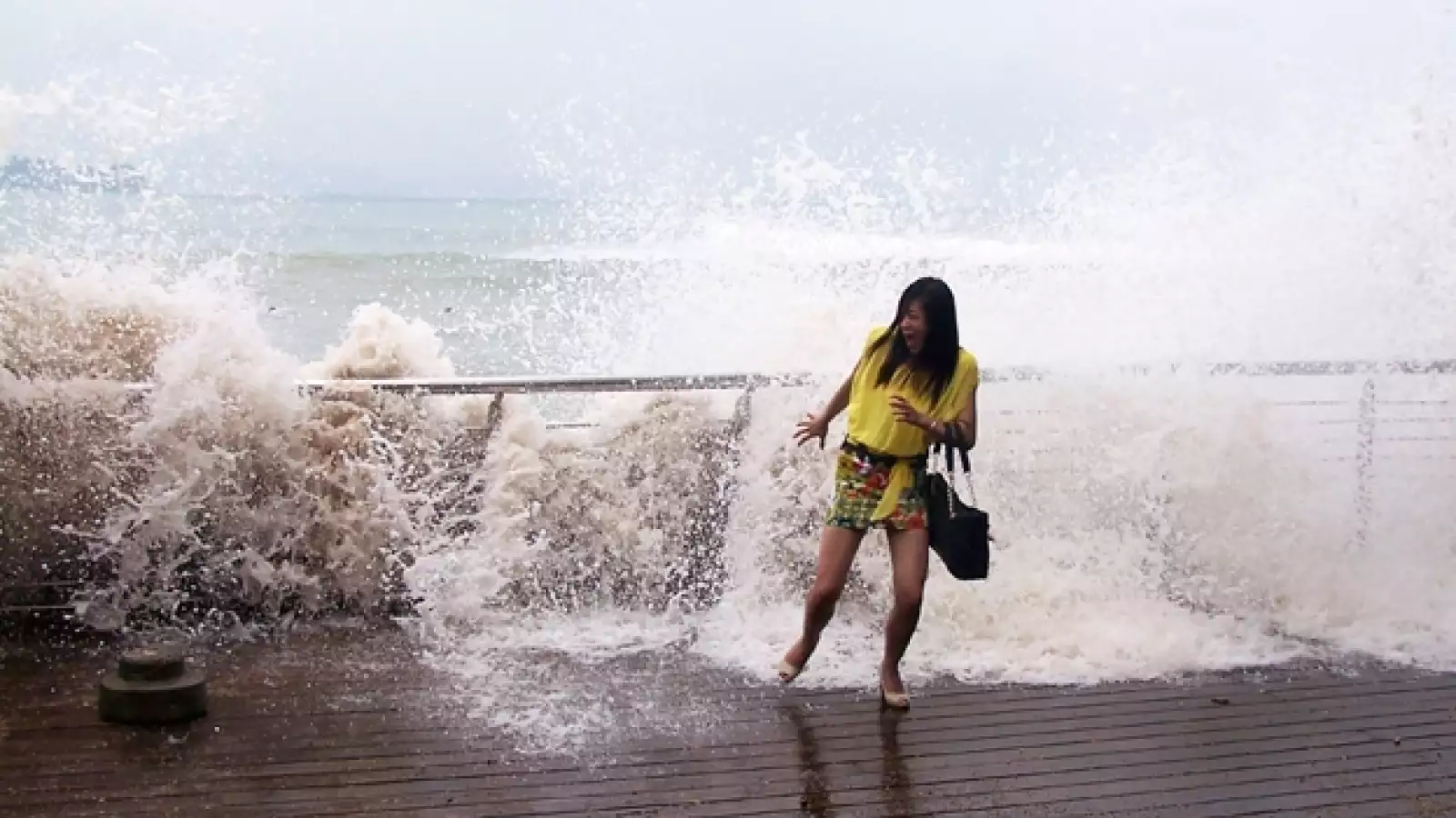 China tifón Usagi 8