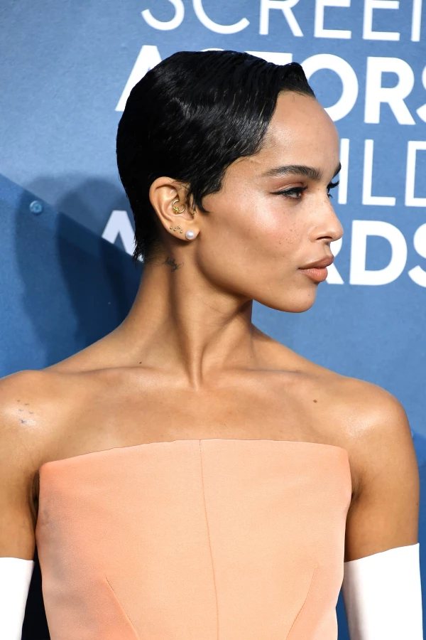 26th Annual Screen Actors Guild Awards - Arrivals