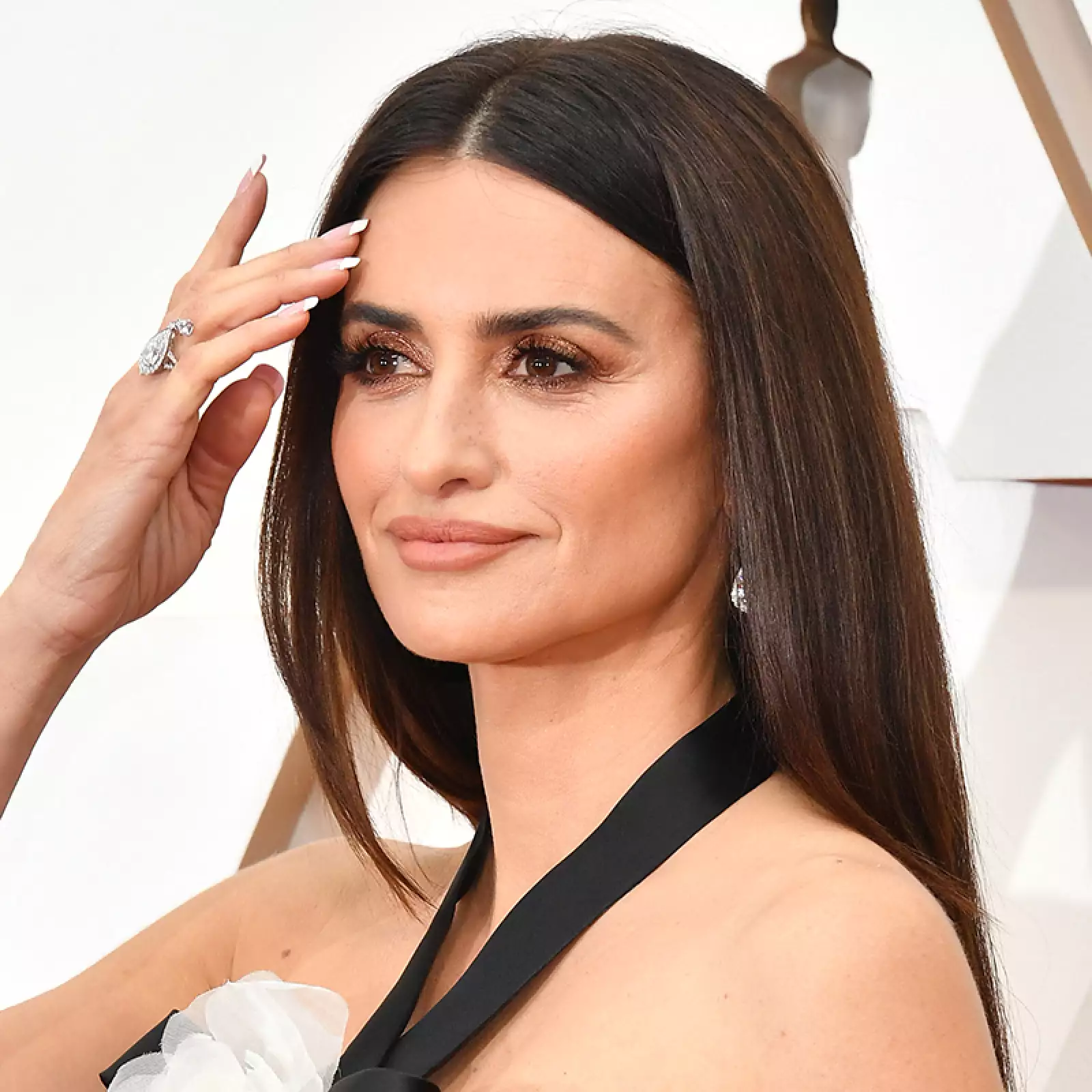 92nd Annual Academy Awards - Arrivals