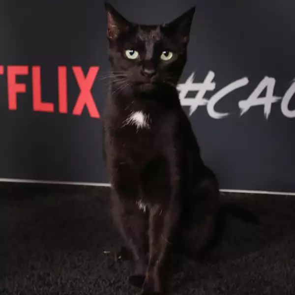 SALEM