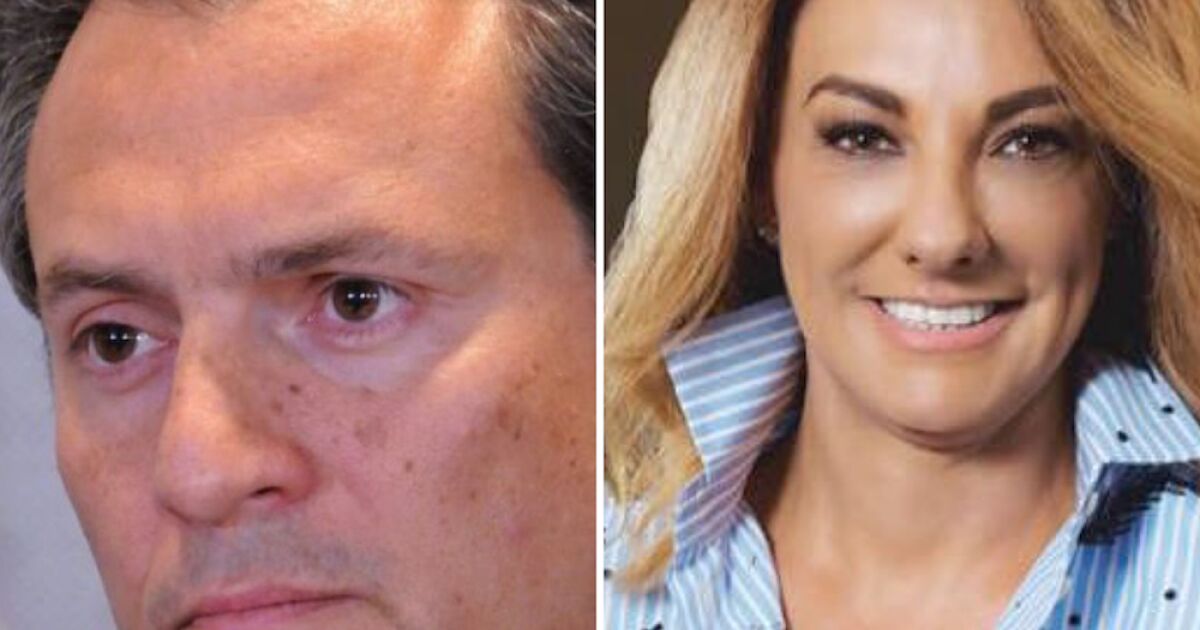 Lourdes Mendoza tells us about her meetings with Emilio Lozoya