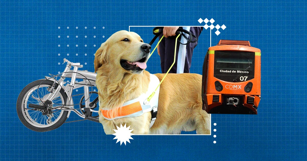 se permiten perros en el metro de dc