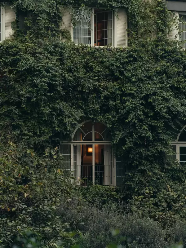 four seasons cdmx.jpg