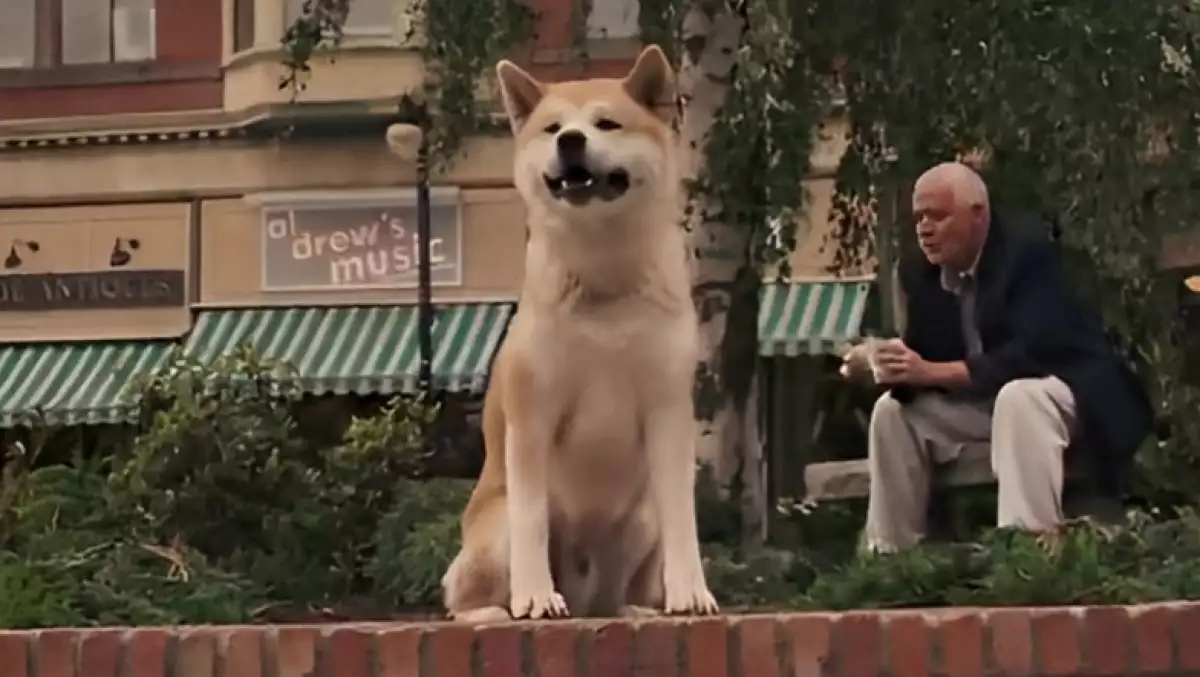 La película rápidamente se volvió popular.