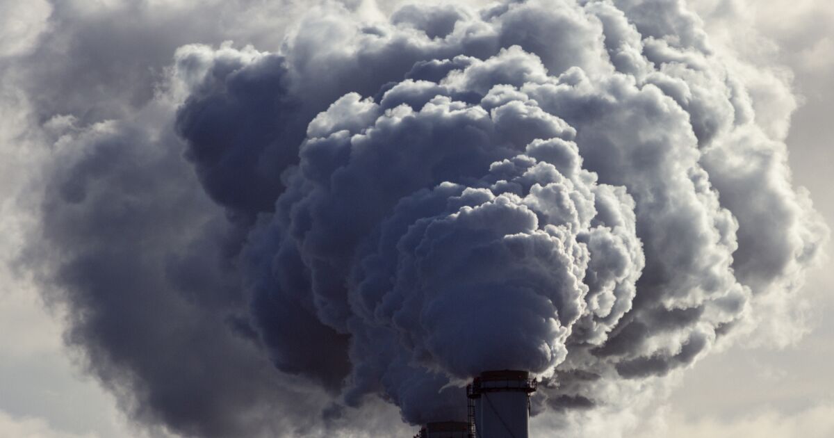 The electricity reform will increase C02 emissions by more than 50% by 2030