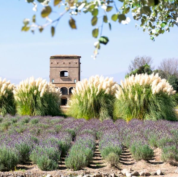 Val' Quirico