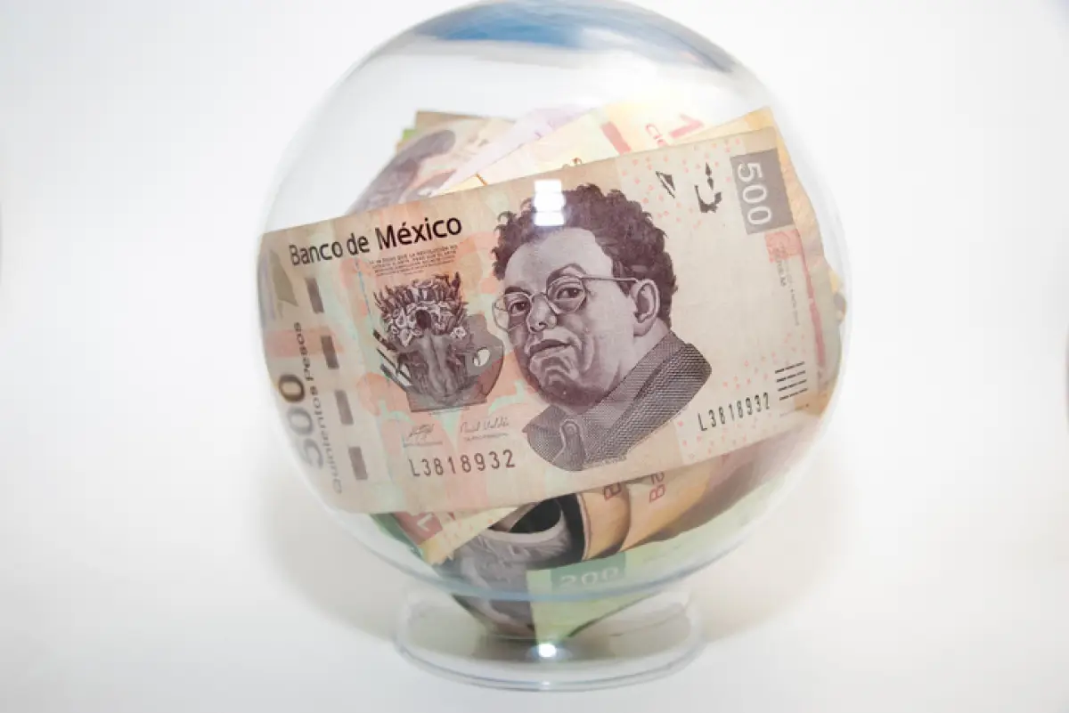 Inspección