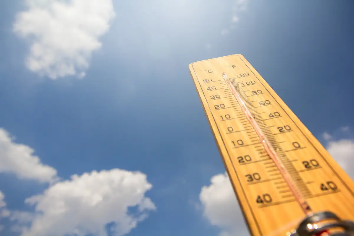 ola-de-calor-cdmx-19-mayo
