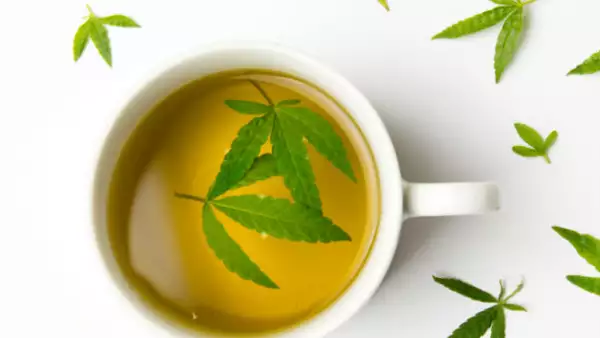 t� de marihuana