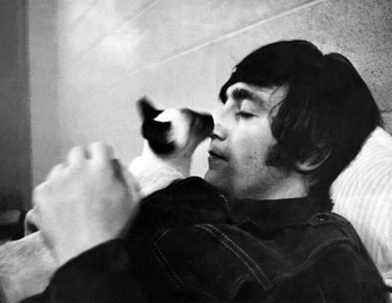 Elvis era el gato favorito de John.