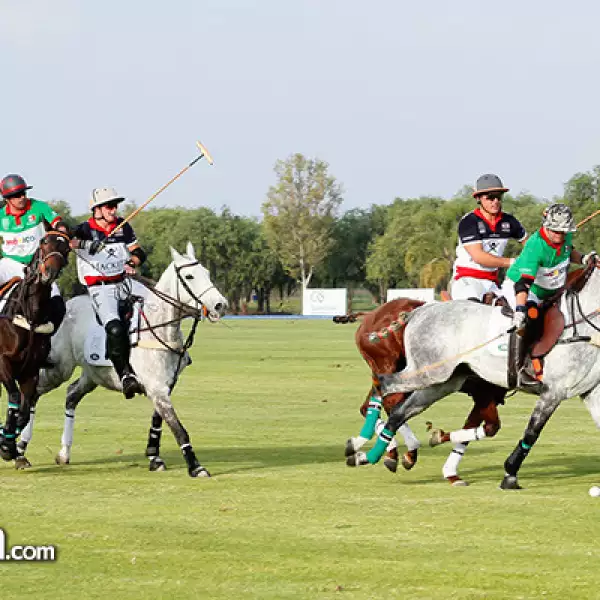 British polo day