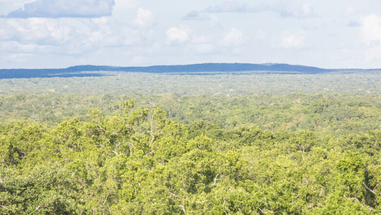Así es en la actualidad la zona donde se construirá la Estación Calakmul