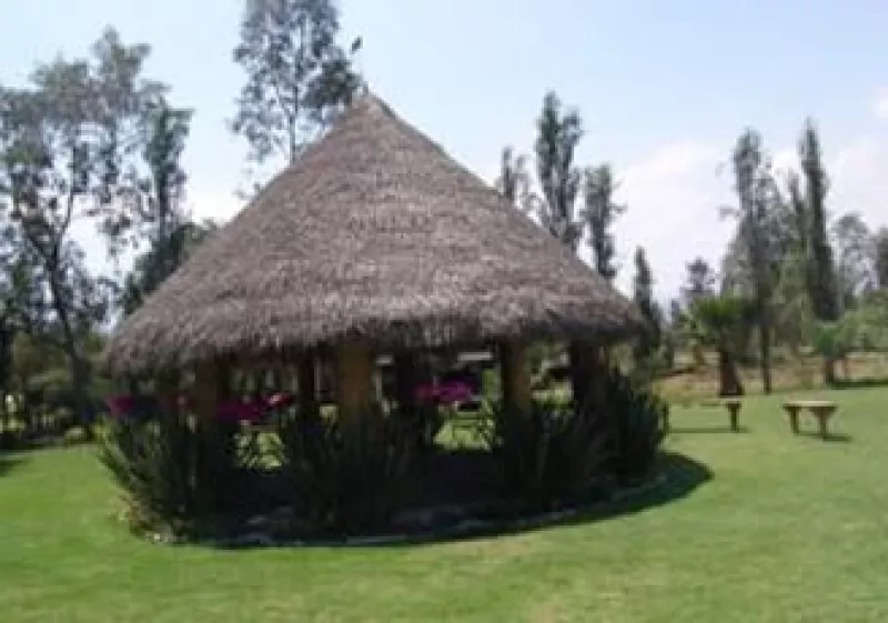 La aventura ecológica en el DF está a la vuelta de la esquina. (Foto: Cortesía)