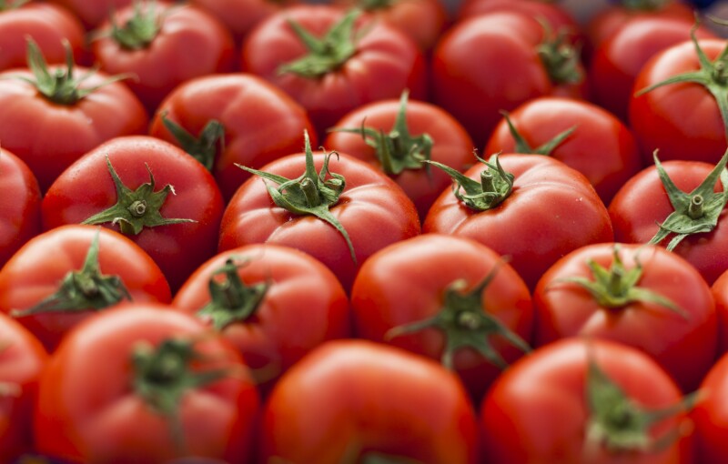 tomate mexicano Estados Unidos