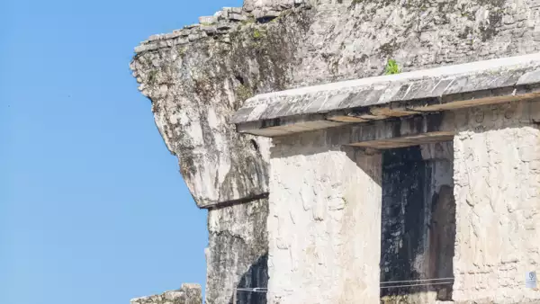 Estación Palenque del Tren Maya