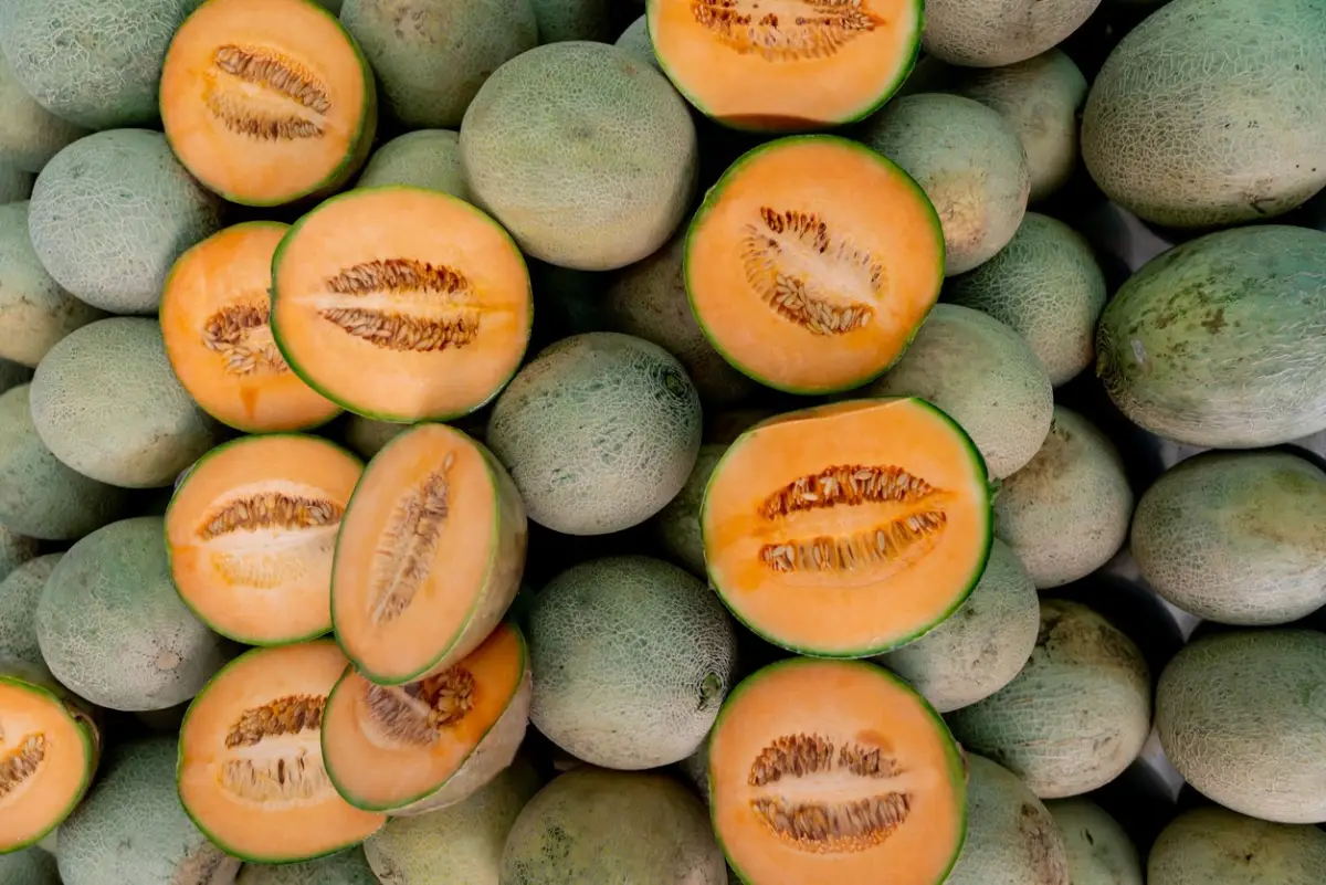 melon-cofepris-alerta.jpg