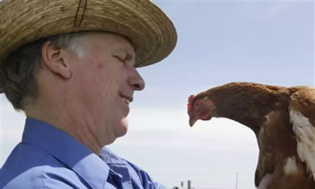 La legislación propuesta exigiría a las compañías indicar en los cartones de huevo cómo se trató a las gallinas. (Foto: AP)
