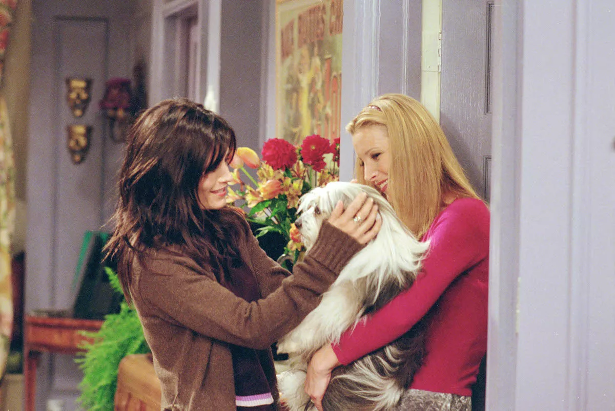corte-pelo-monica-friends.jpg