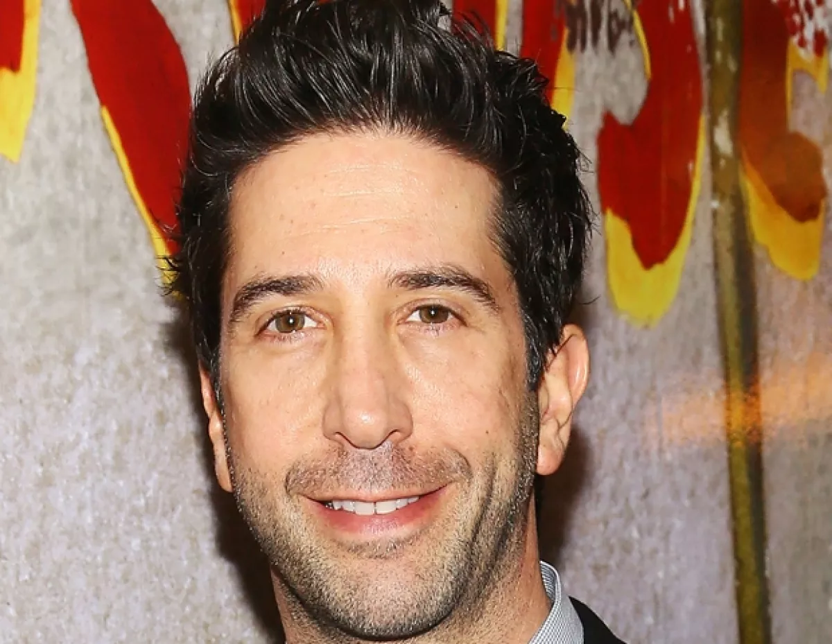 David Schwimmer