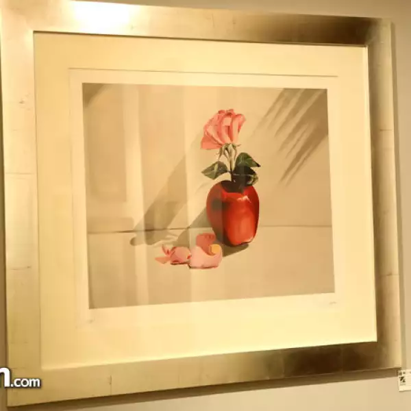 Exposición Martha Chapa