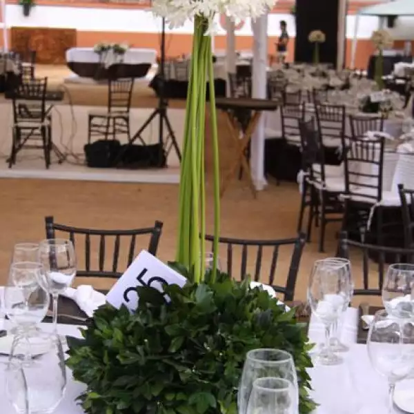 Boda Luz Marcela Cieri Urquiza y Victor José Lizardi Álvarez